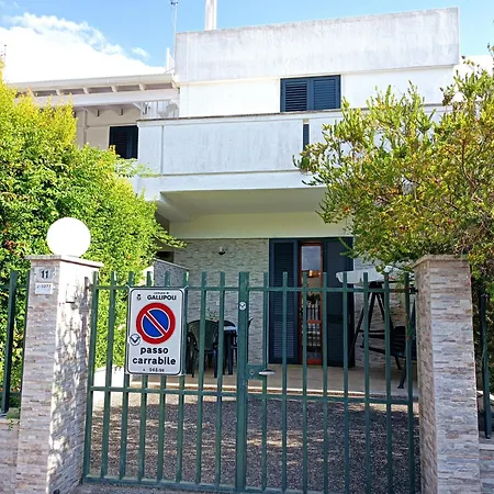 Egina * Gallipoli