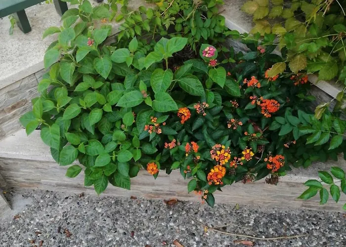 アパート Egina *